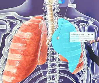 healthcare simulation lungs